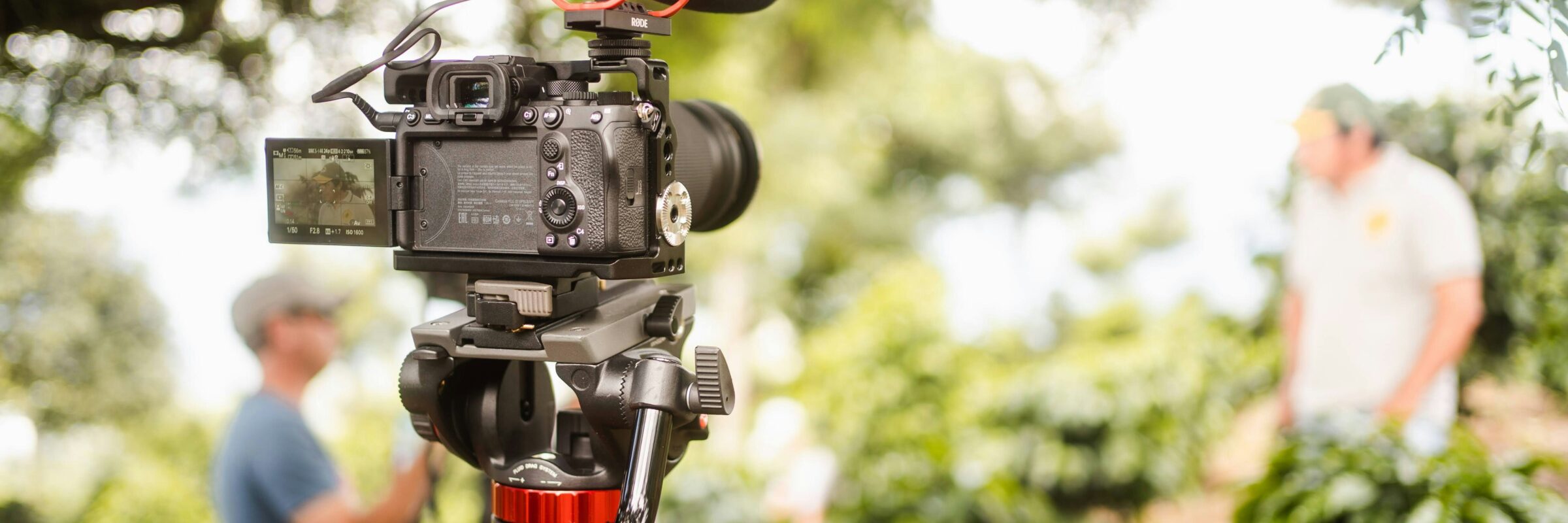 <div><h2>Help Us Get Started</h2><h4>Choose which e-courses we should make first</h4></div>