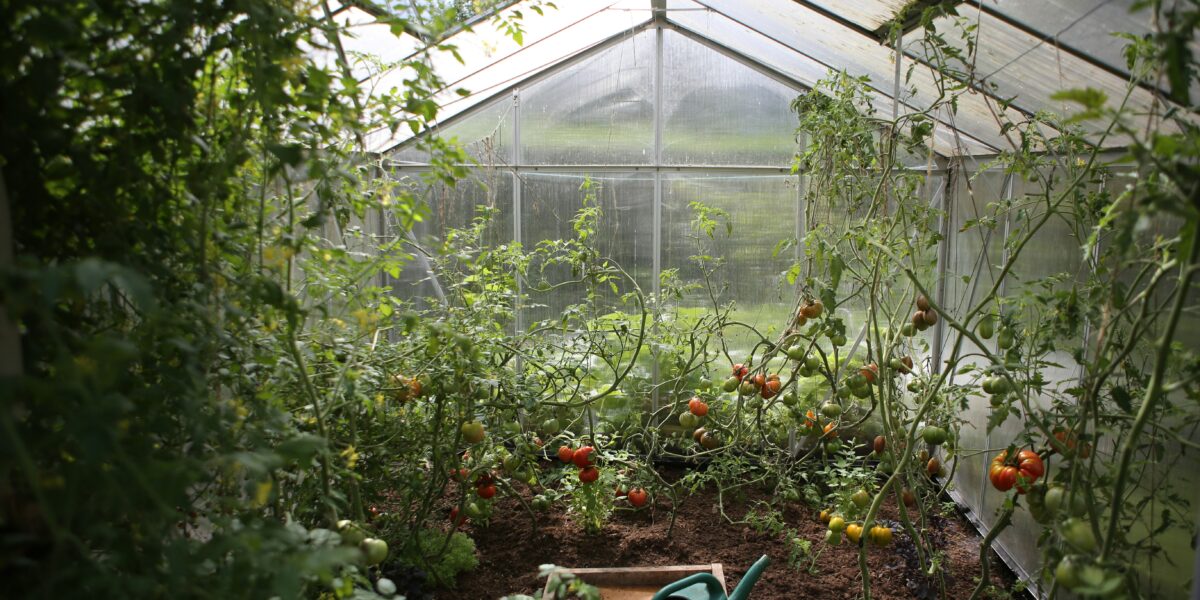 Greenhouse